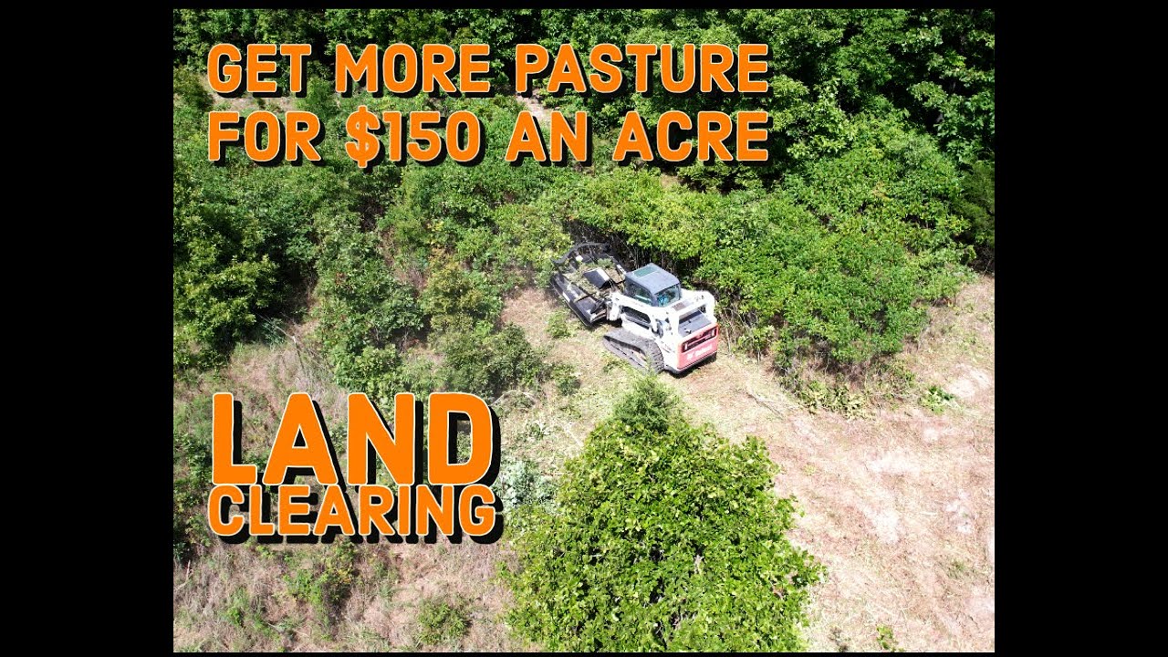 Land Clearing Youtube