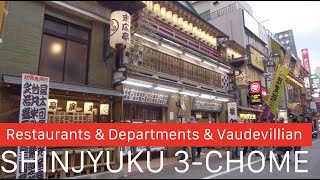 【4K】新宿３丁目散歩/Shinjyuku 3-chome walk