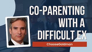 What To Include in a Parenting Time Plan to Avoid Conflicts?