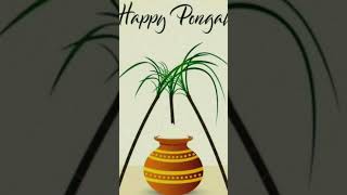 💥happy pongal Whatsapp status💥#shorts #whatsappstatus #happypongal2023 #pongalwishes