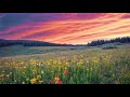 spring sunrise peaceful morning instrumental background music with birds