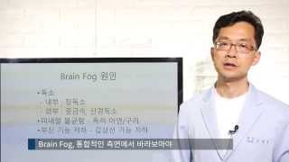 [브레인포그 극복기2] Brain Fog 의 원인과 증상 이어서