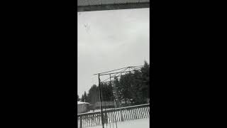 Winter overrated #northwest #coldweather #discoverwhy #keepwarm #stayhome #boringday #viralvideo