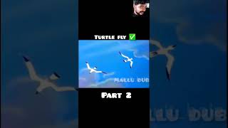 Turtle Fly✅ part 2 | Very Emotional Video |  #turtle #shorts #respect #trending #viralvideo