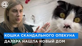 После задержания опекуна Далера Бобиева, кошка осталась без хозяев. Какая судьба питомца?