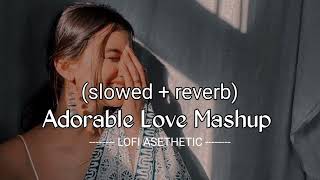 Adorable Love Mashup || (slowed + reverb) || Bollywood Lofi || #lofi #song #slowedandreverb