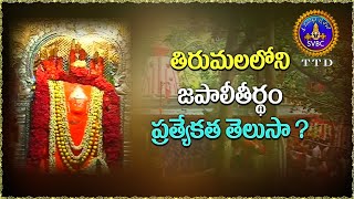 Japali Theertham secrets | Japali Anjaneya Swamy Temple | తిరుమలలోని జపాలితీర్థం ప్రత్యేకత తెలుసా?