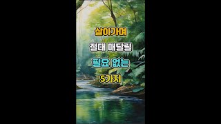 살아가며 절대 매달릴 필요 없는 5가지 #명언 #자기계발 #인생조언