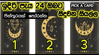 ඉදිරි පැය 24 ඔබට සිදුවෙන දේවල්  - Tarot Predictions and Healing