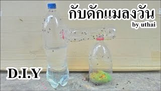 DIY กับดักแมลงวัน ได้ผล100 %  by uthai