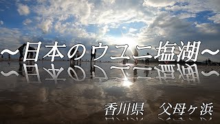 【フォトジェニックな旅】瀬戸内海　その１