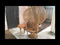 How to RESTORE  a PEACOCK wicker CHAIR