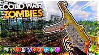 OUTBREAK EASTER EGG 2!!! | Call Of Duty Black Ops Cold War Zombies Outbreak Easter Egg 2 + MP!!!