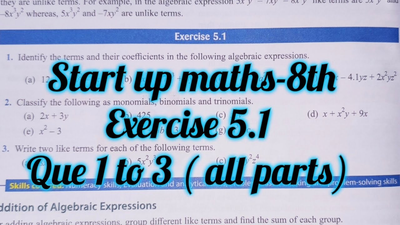 Viva Education Start Up Mathematics Class 8 Ex 5.1 | Algebraic ...