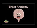 Human Body /Brain Song/Human Body Systems | KLT Anatomy