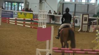 Croft Skyfall - british novice