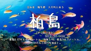 【柏島（高知県大月町）】周りの海はサンゴだらけ。海の中は熱帯魚のアクアリウム。