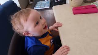 Weis Mango Weetbix | Taste Tester Series
