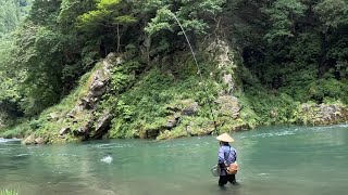 29㎝のニジマスを抜いて〜８寸の電撃ヤマメは受け損なう〜増水中の奥多摩川