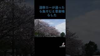 #鹿児島慈眼寺公園通りすがり桜、選挙カーに負けじと音楽鳴らしたtravelチャンネル投稿お願いいたします