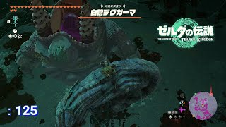 【ティアーズ オブ ザ キングダム:125】白蒼デグガーマ戦【ゼルダの伝説 ティアーズ オブ ザ キングダム】