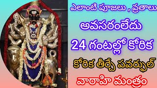 ఎలాంటి పూజలు ,,వ్రతాలు లేకుండా 24 గంటల్లో కోరిక తీర్చే అద్భుతమైన వరాహి మంత్రం ##varahi mantram# 🙏🙏💯💯