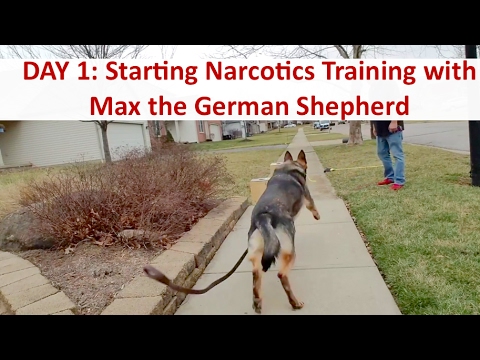 DAY 1: Drug Detection Dog Training with Terry Cook: Columbus Ohio Narcotics K9 Training DAY 1: Drug Detection Dog Training with Terry Cook: Columbus Ohio Narcotics K9 Training