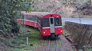 鐵道影音館 祝山日出下山列車 (2024.12.03)