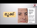 most important eye ear nose tongue skin human body biology kerala psc coaching