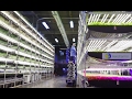 Vertical farming at AeroFarm 🌱 | Curbed Tours