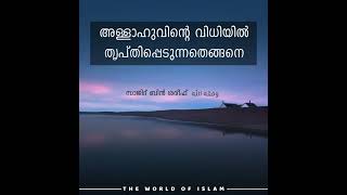 അല്ലാഹുവിൻ്റെ വിധിയിൽ തൃപ്തിപ്പെടുന്നത് എങ്ങനെ? | The World Of Islam |