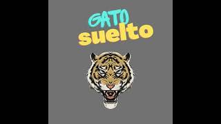 Pista De Reggaeton 2021 - Base De Reggaeton Uso Libre "Gato Suelto"