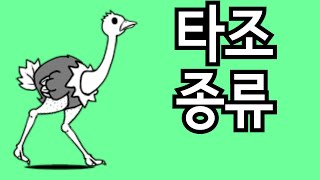 [냥코대전쟁] 타조의 종류