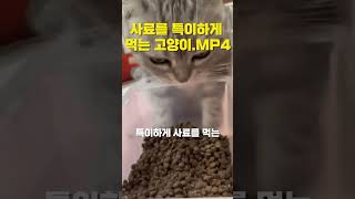 어머니가 싸주시던 김밥