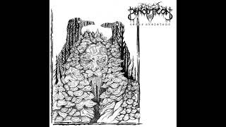 Panopticon-Cedar Skeletons (Single)