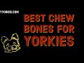 Best Chew Bones For Yorkies (Watch Before Buying A Chew Toy)