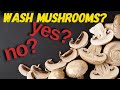 Wash Mushrooms? Yes or No?