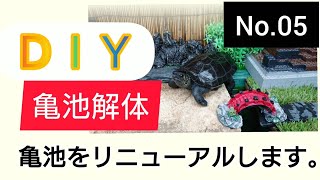 【亀池作り】クサガメ用の亀池を作るにあたり一番の難関をやっつける‼️