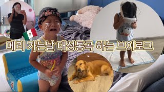 #139 이사 준비 하면서 모든 가구 체인지 하고, 메리 가는날 대성통곡 하는 대환장파티 🧒🏻🐕💕