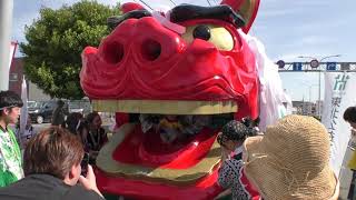 大獅子　日和の獅子パックン　Singa besar　本祭り　酒田まつり2019　00116