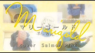 マリーゴールド/あいみょん cover 阪南大学高等学校軽音楽部 Salmon Pink