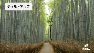 基本の動画カメラワーク【ティルトアップ】