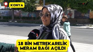 MERAM BAĞLARI YENİDEN HAYAT BULUYOR - KONYA RAPOR