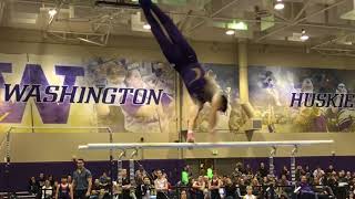 Washington Men's Gymnastics Team