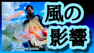 【今日のナンコ！2023.10.6】風の影響【琵琶湖バス釣り】