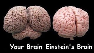 What made Albert Einstein a genius?
