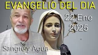 Evangelio Del Dia Hoy - Miercoles 22 Enero 2025- Sangre y Agua