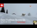 Bettmeralp - Aletscharena - Wallis - Hotel Waldhaus Switzerland 4K