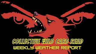 Collective WILD CARD Weekly Weather Report•PART 1⚡🃏⚡Hungry Wolves🔥🖤🔥