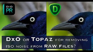 DxO or Topaz for removing noise from RAW files? You be the judge!